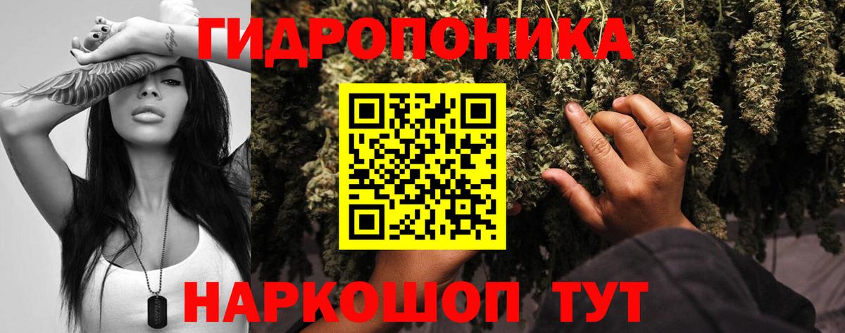 Шишки марихуана планчик Ипатово